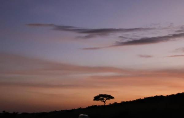 La riserva di Maasai Mara National, in Kenia