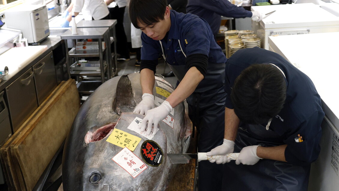 A bluefin tuna fetches 1.3 million US dollar at annual New Year's first auction