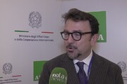 Argentina, Lucentini: 'Con Milei opportunita' per nostre imprese'