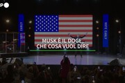 Musk e' il doge, che cosa vuol dire