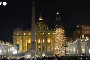 Vaticano, accesi albero di Natale e presepe in Piazza San Pietro