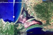 Laguna di Orbetello, raccolti quintali di carcasse di pesci