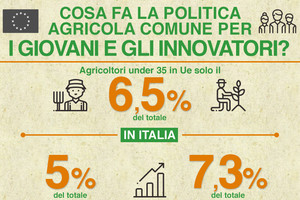 INFOGRAFICA - La Pac per giovani e innovatori (ANSA)