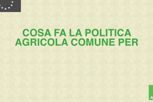 Pac, promuove il ricambio generazionale e l'innovazione (ANSA)