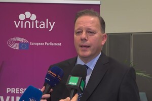 Bricolo (Vinitaly), "Il nostro evento vale 14 miliardi di euro, 7,8 miliardi solo di export" (ANSA)