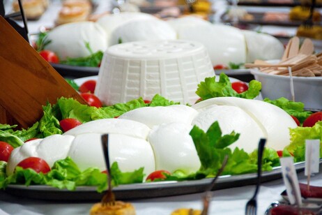 Mozzarella Dop, prima guida ai migliori vini in abbinamento