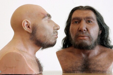 Nova descoberta ajudou a entender cruzamento entre sapiens e neandertais