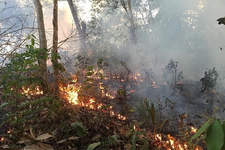 Recursos também são destinados a combater incêndios