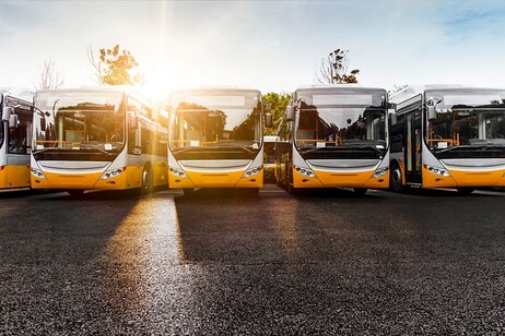 Tir e bus, parco in rinnovo. Traffico a livelli pre-Covid