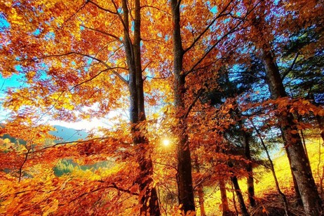 Los mágicos colores del otoño, una estación en la que Italia también se potencia