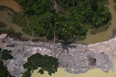 Área desmatada por mineração ilegal em Altamira, na Amazônia brasileira