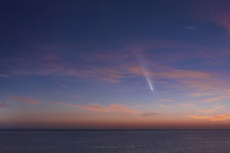 LLa cometa C/2023 e Venere (fonte: A. Canaveras, G. Conzo, M. D'angelo, G. Esposito, L. Guariglia, G. Marrani e A. Lombardozzi, C. E. Tronci e A. Lulli, P. Giangreco Marotta, G. Spaziani e F. Orfino, tutti del Gruppo Astrofili Palidoro)