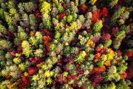 La magia del foliage in Alta Val di Non