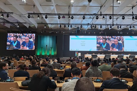 ++ Cop29 approva il mercato internazionale del carbonio ++