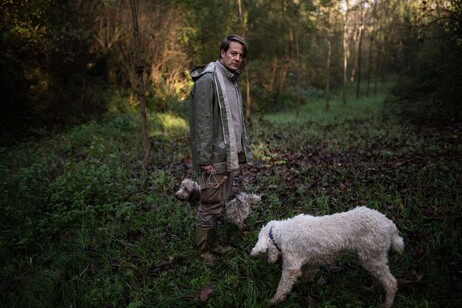 Il cacciatore di tartufi Carlo Marenda e il suo cane Buc a Treiso vicino Alba