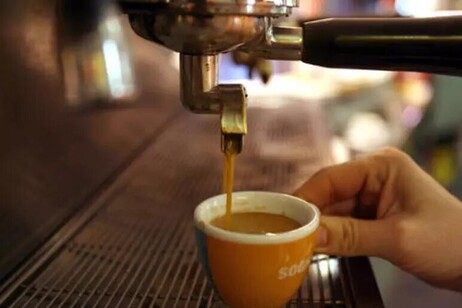 Para el 70% de los italianos beber café es una experiencia sensorial (ANSA)