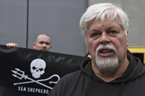 Paul Watson