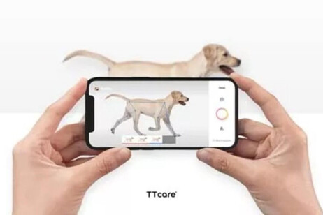 TTCare, l'App per il monitoraggio della salute degli animali di casa