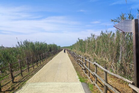 Inaugurato a Fiumicino nuovo tratto ciclabile argine Tevere