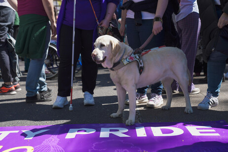 Biella Pride sarà inclusivo anche con i disabili