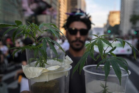 Marcha da Maconha em São Paulo, em 16 de junho