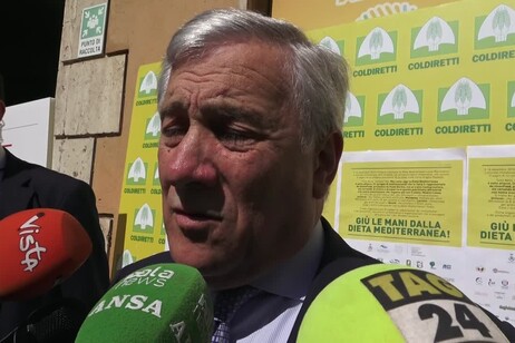 Agricoltura, Tajani: 'Nuove politiche Ue per contrastare i cambiamenti climatici'