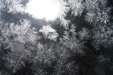 Cristalli di ghiaccio (fonte: James from Boulder, USA, da Wikimedia)