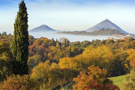La belleza y biodiversidad de las colinas Euganeas, en Padua