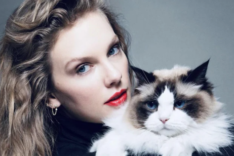 Taylor Swift se definiu como 'dona de gato sem filhos'