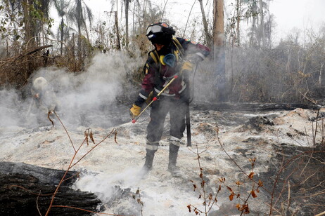 Un bombero boliviano combate uno de los diez focos más graves que hay en el país.