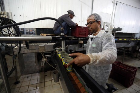 Una fabbrica di produzione di Harissa in Tunisia