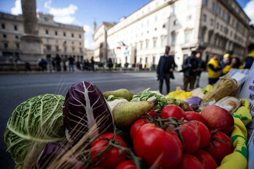 Coldiretti, da 3 italiani su 4 no a carne artificiale