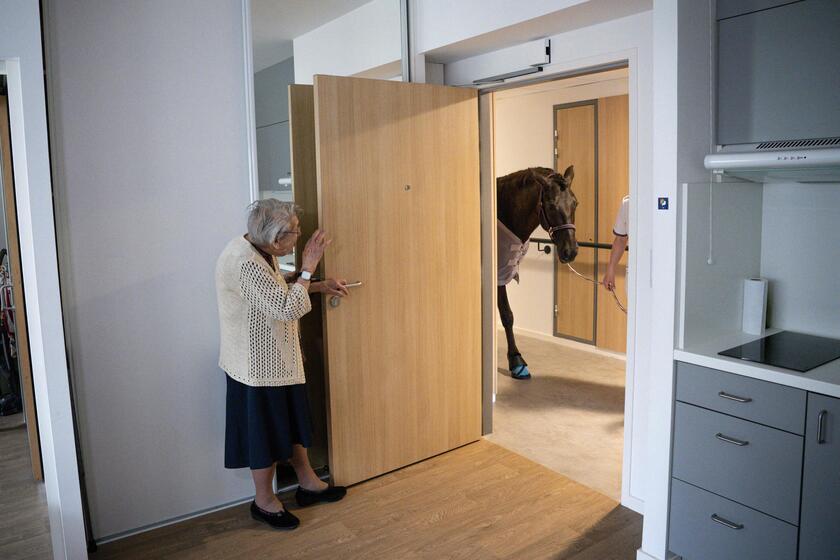 Un 'anziana con Dounka, cavalla di 10 anni, abituata a lavorare in una residenza a Ornans, 21 marzo © ANSA/AFP