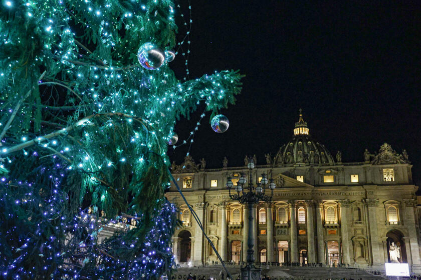 Árvore de Natal foi inaugurada no último fim de semana