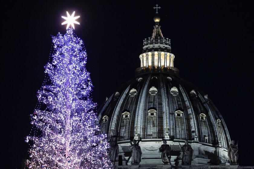 Árvore de Natal foi inaugurada no último fim de semana