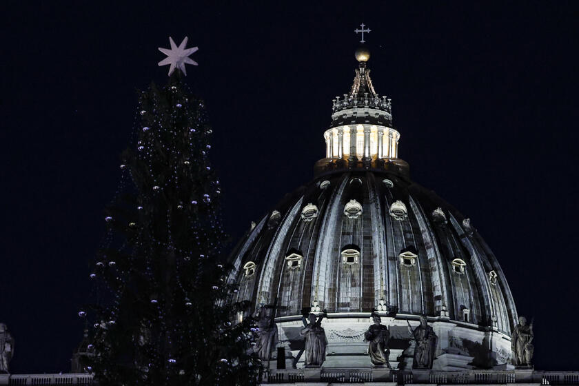 Árvore de Natal foi inaugurada no último fim de semana