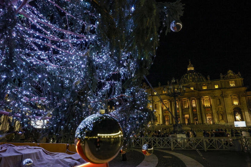 Accensione albero di Natale a San Pietro - RIPRODUZIONE RISERVATA