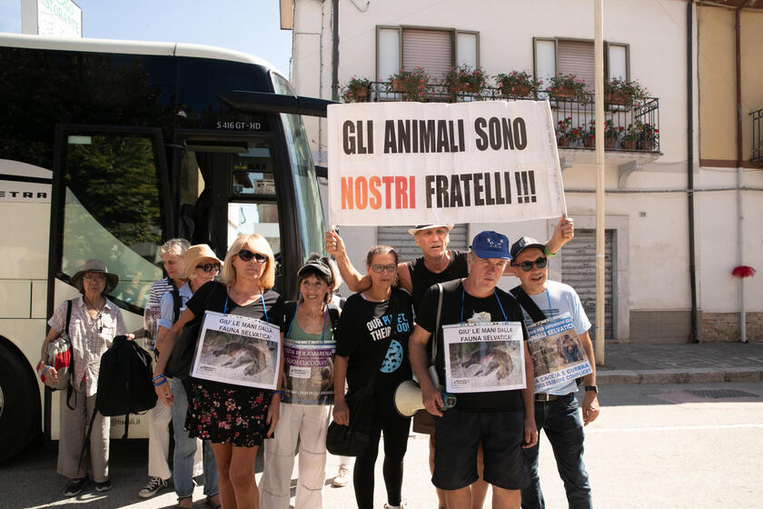 Milhares protestam em Pescina por assassinato da ursa Amarena