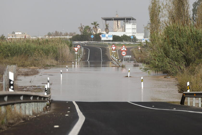 Dozens killed as floods hit Spain's Valencia region