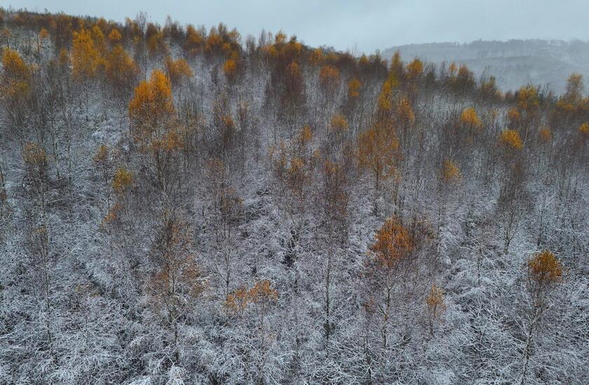 Germania: la neve disegna i paesaggi