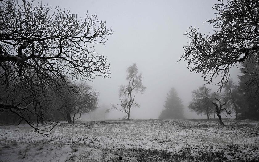 Germania: la neve disegna i paesaggi