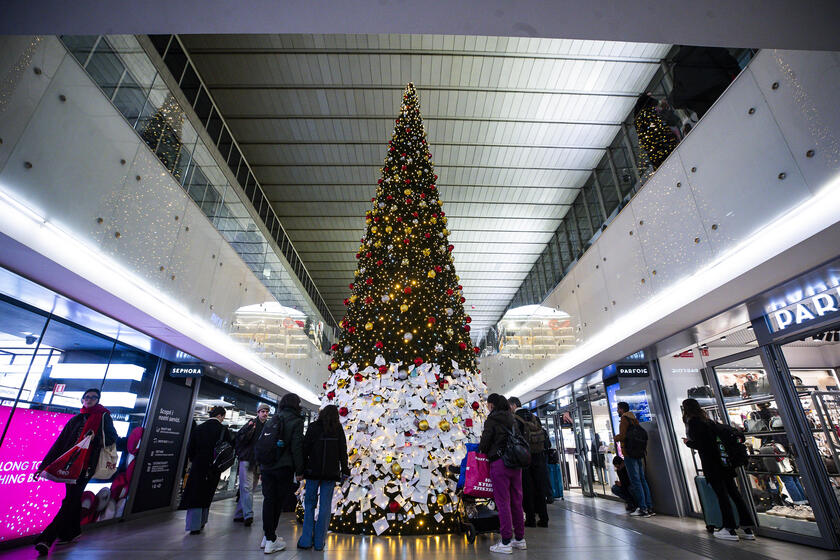 Biglietti affissi all'albero di Natale della stazione Termini a Roma