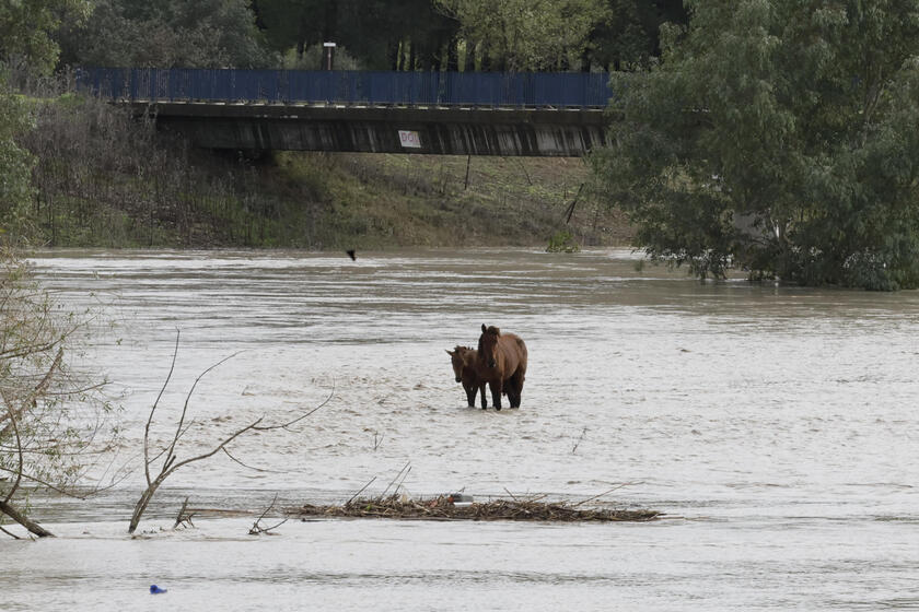 Alluvione in Spagna