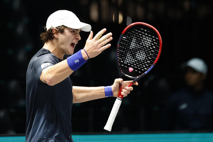 Tennis Davis Cup Final group Netherlands vs Brazil