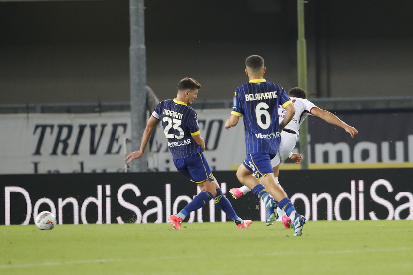 Soccer: Serie A; Hellas Verona vs Torino Fc