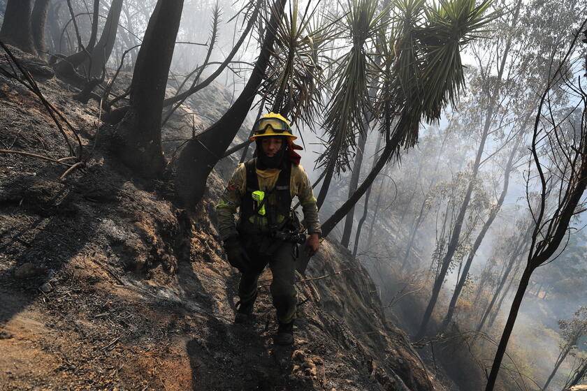 Bomberos combaten el fuego forestal en Quito, Ecuador