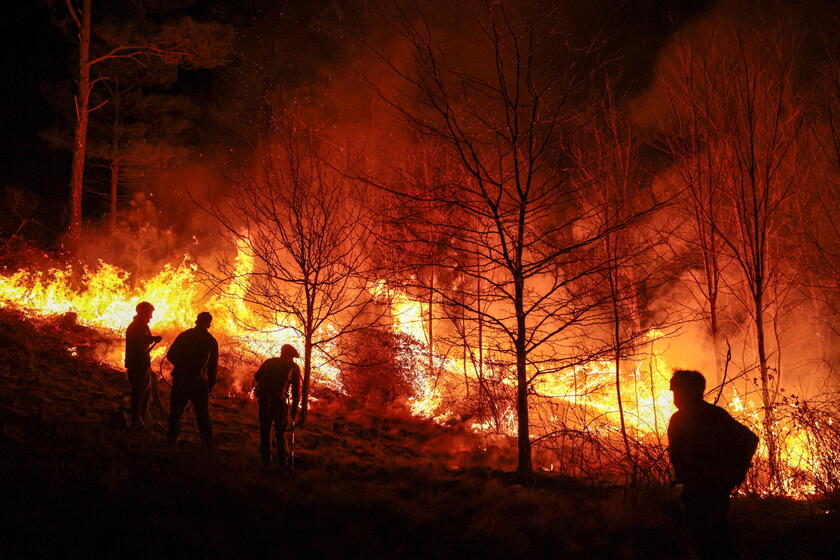 Incendio forestal cerca de Villa Berna, Córdoba, en Argentina