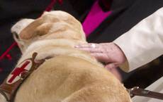 Le coccole di papa Francesco al cane