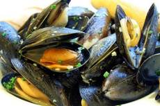 Cozze per salvare spiaggia da erosione