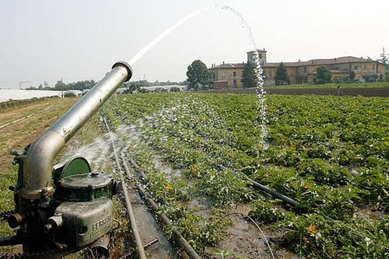 - RIPRODUZIONE RISERVATA